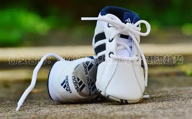 尊龙z6·(中国区)有限公司新版官网