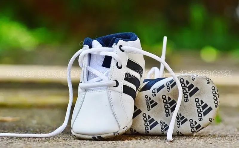 Z6·尊龙(官方认证)网站